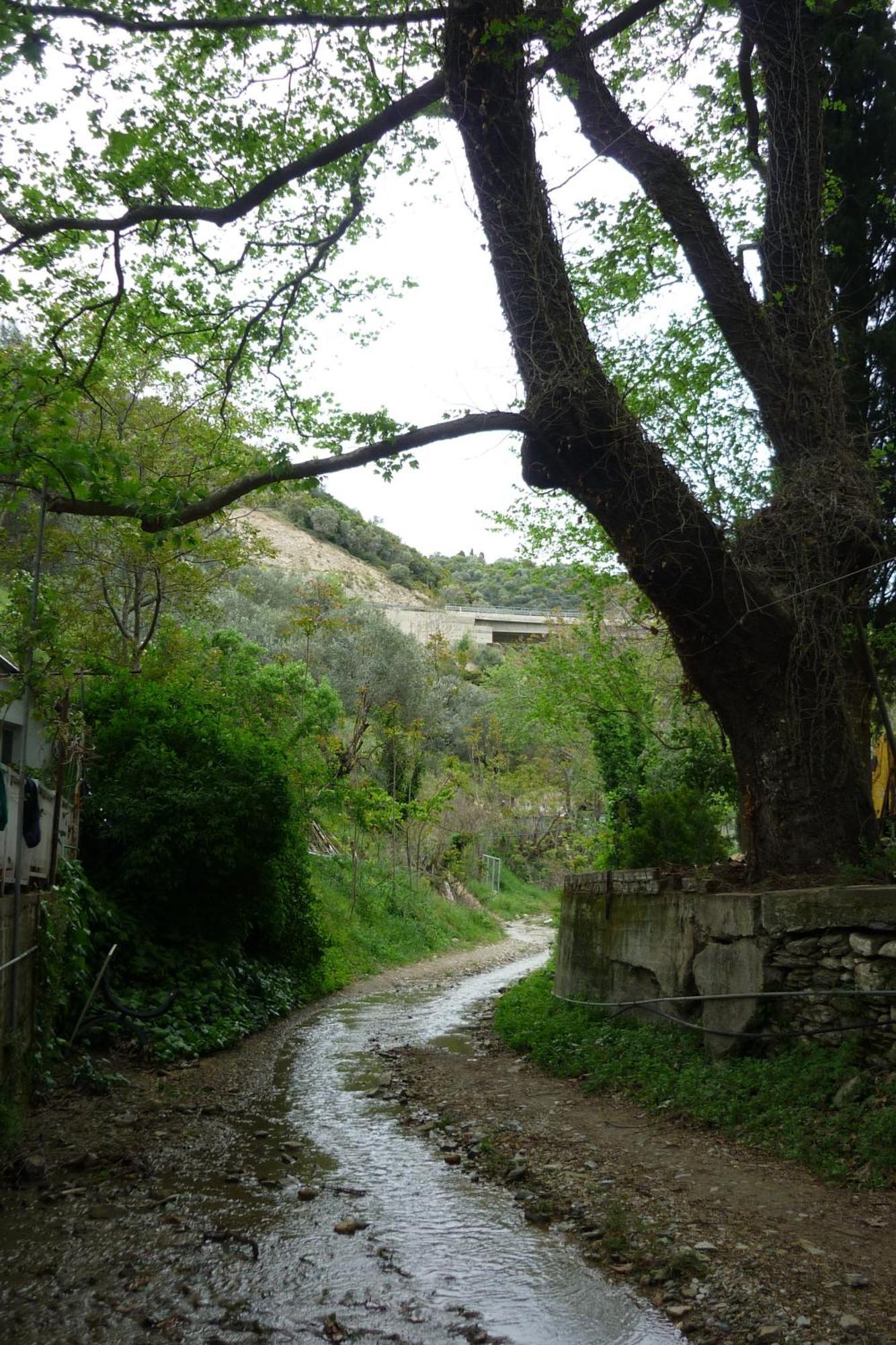 Pagona Hotel Loutra Edipsou  Dış mekan fotoğraf